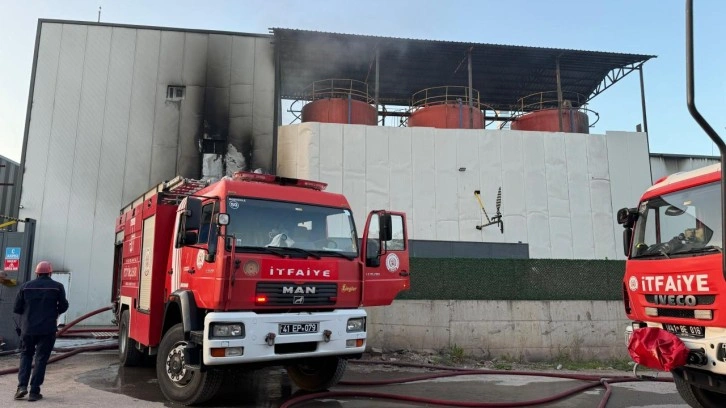 Kocaeli'nde madeni yağ fabrikasında yangın!