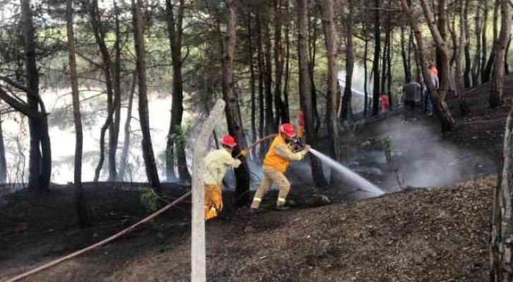 Kozan’da orman yangını