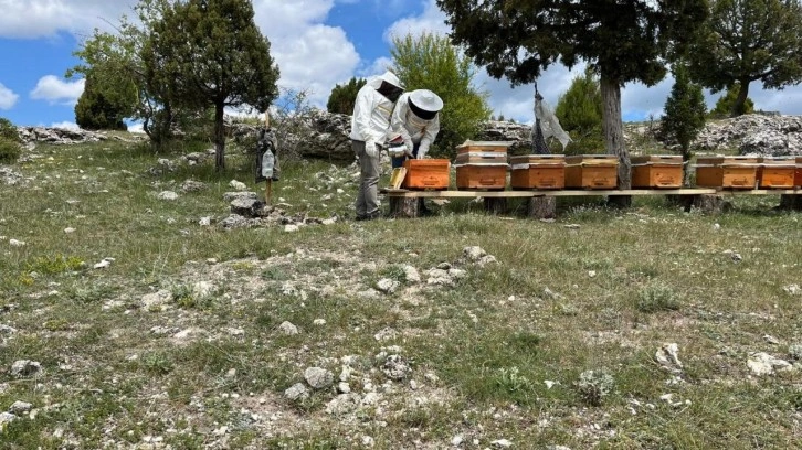 Kütahya'da 15 üreticiye arı kovanı verildi