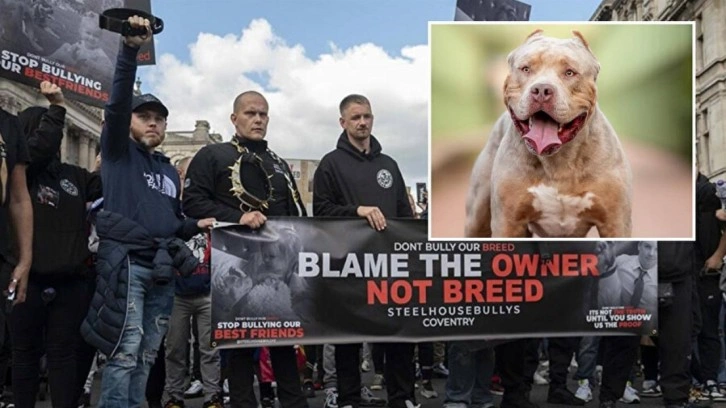 Londra'da sahibi olduğu köpeklerin saldırısına uğrayan kadın hayatını kaybetti