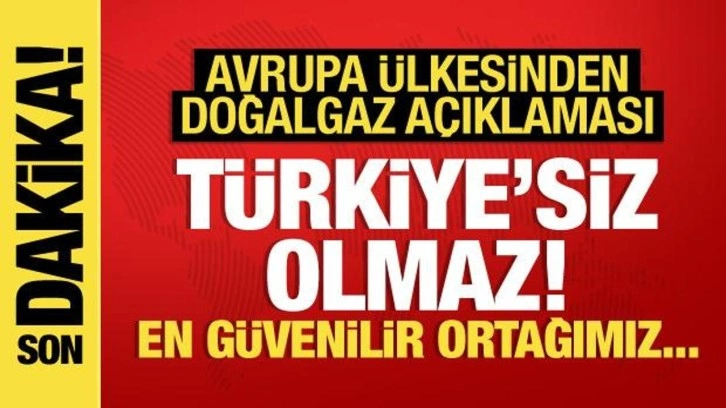 Macaristan Dışişleri Bakanı: Doğalgaz tedariği Türkiyesiz mümkün değil