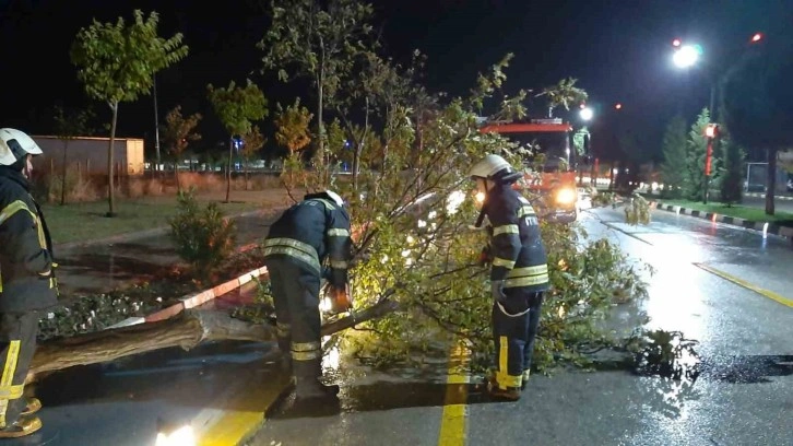 Manisa’da ekipler bin 249 noktada fırtına ve yağışla mücadele etti