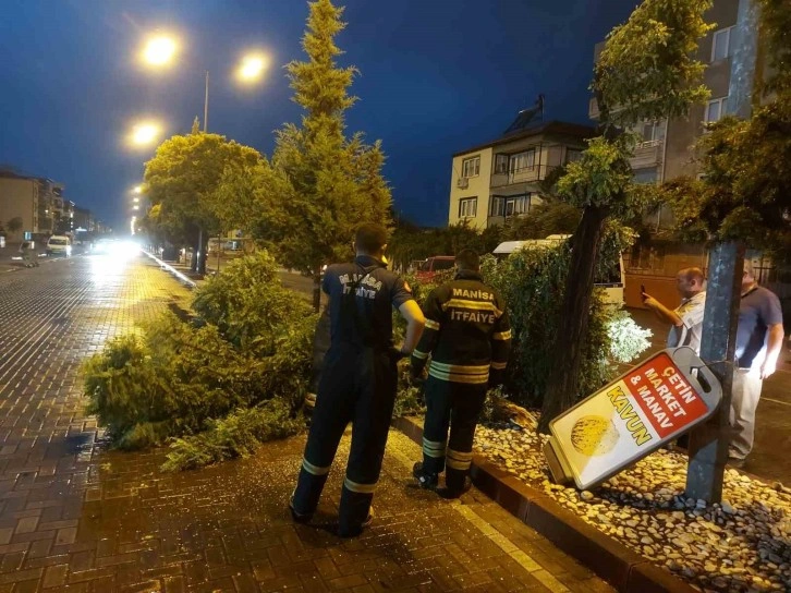 Manisa’da fırtına ağaçları devirdi