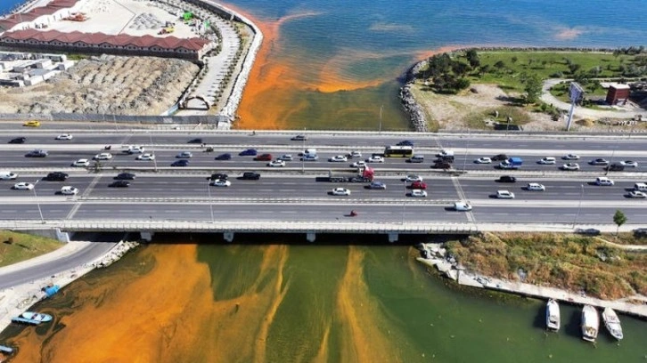 Marmara Denizi'nde 'Red-tide' görüldü!