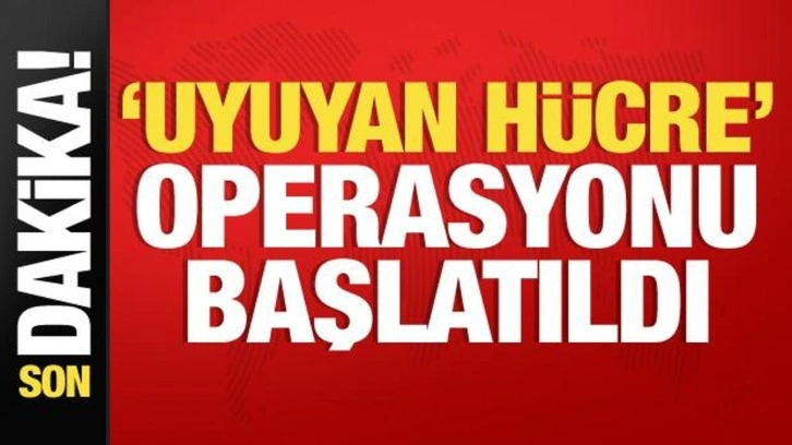 MİT 'Uyuyan Hücre' operasyonunu başlattı