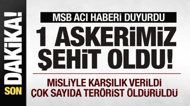 MSB acı haberi duyurdu! 1 askerimiz şehit oldu!