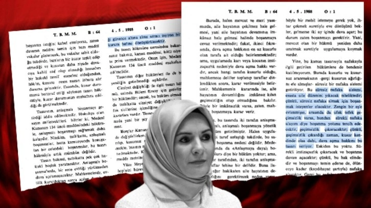 Nafakayla ilgili TBMM arşivinden çıkan tarihi kayıt: Eğer süresiz olursa...