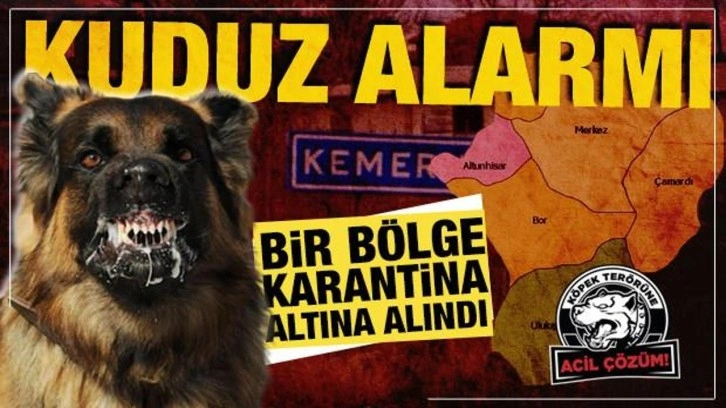 Niğde'de kuduz şoku! Bir belde karantinaya alındı