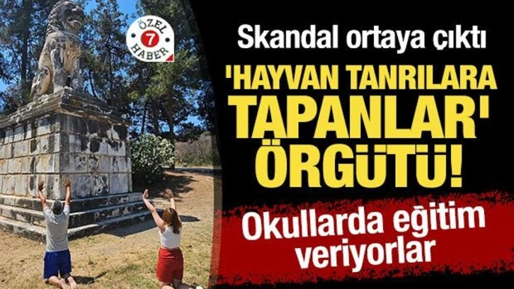 Okullarda faaliyet gösteriyorlar! Skandal ortaya çıktı: 'Hayvan tanrılara tapanlar' örgütü