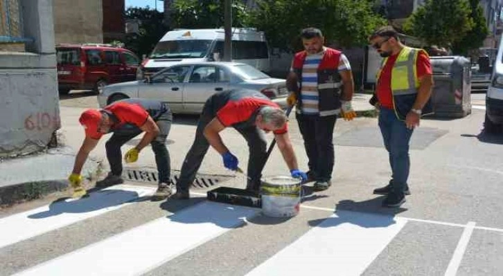 Ordu’da yaya geçitleri ve kasisler yeniden boyandı