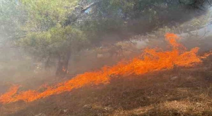 Ormana sıçrayan yangın 3 saatte kontrol altına alındı