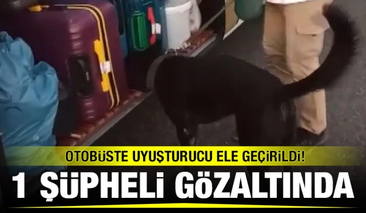 Otobüste uyuşturucu ele geçirildi! 1 şüpheli gözaltında