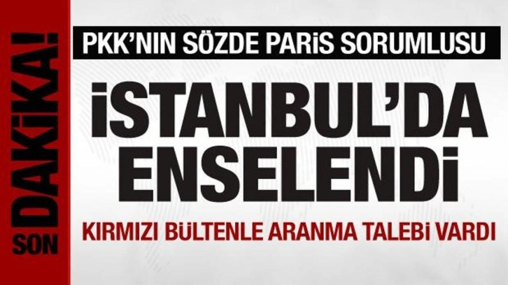 PKK/KCK'nın sözde "Paris kuzey gençlik kolu sorumlusu" yakalandı