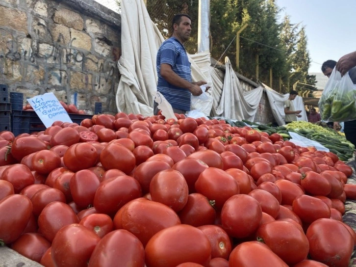 Salçalık domates ve biberler tezgahlarda