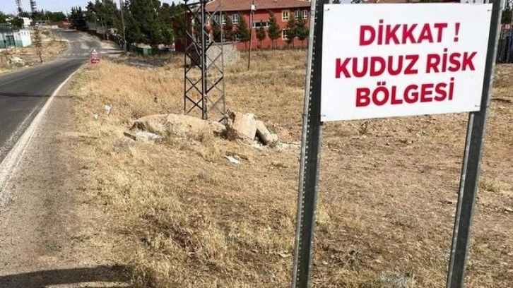 Şanlıurfa'da 2 mahalle, 'kuduz' nedeniyle karantinaya alındı