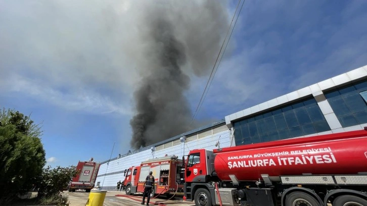 Şanlıurfa'da tekstil fabrikasında yangın çıktı