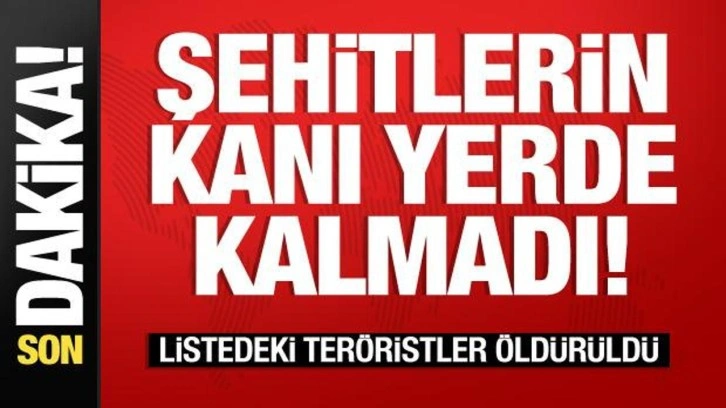 Şehitlerin kanı yerde kalmadı! Listedeki teröristler öldürüldü