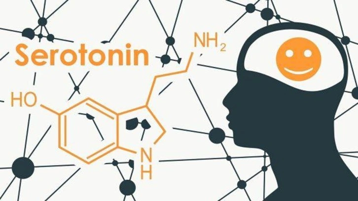 Serotonin, melatonin mutluluk hormonu nasıl artar? Mutluluk hormonu sağlayan şeyler...