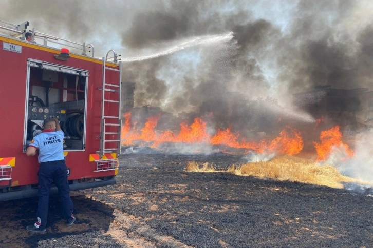 Siirt’te 130 dekar tarım arazisi küle döndü