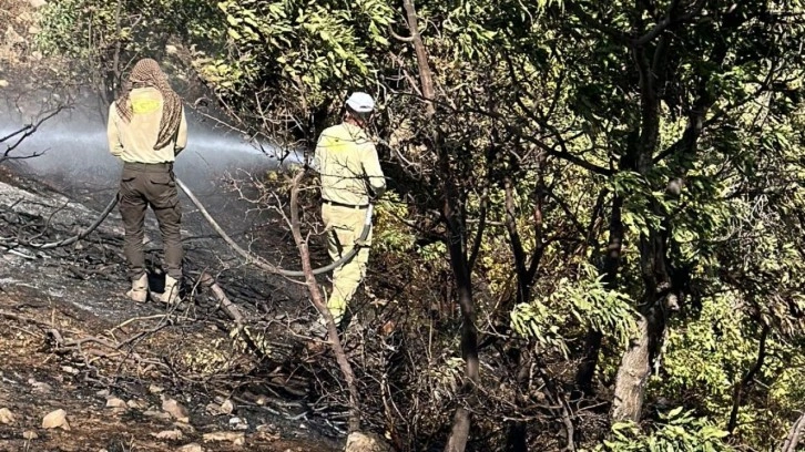 Siirt'te orman yangını, 17 saatte kontrol altına alındı