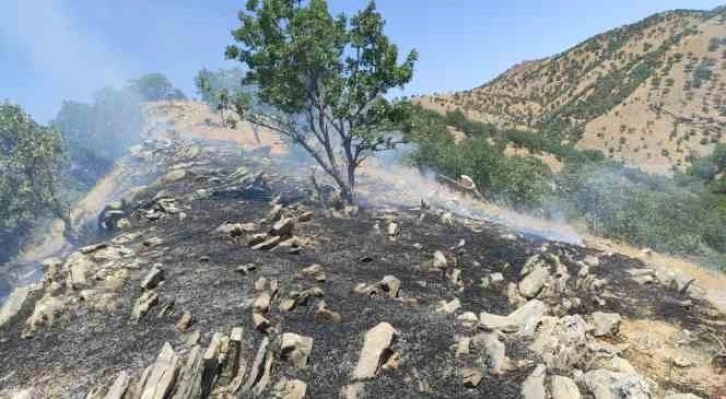 Siirt’te ormanlık alanda çıkan yangın söndürüldü