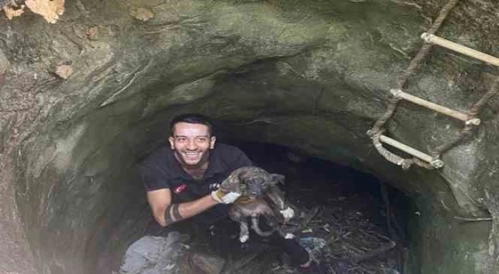 Silvan’da kuyuya düşen köpeği itfaiye ekibi kurtardı