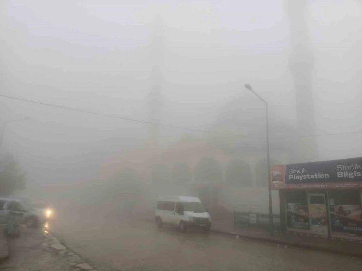 Sincik ilçesinde yoğun sis etkili oldu