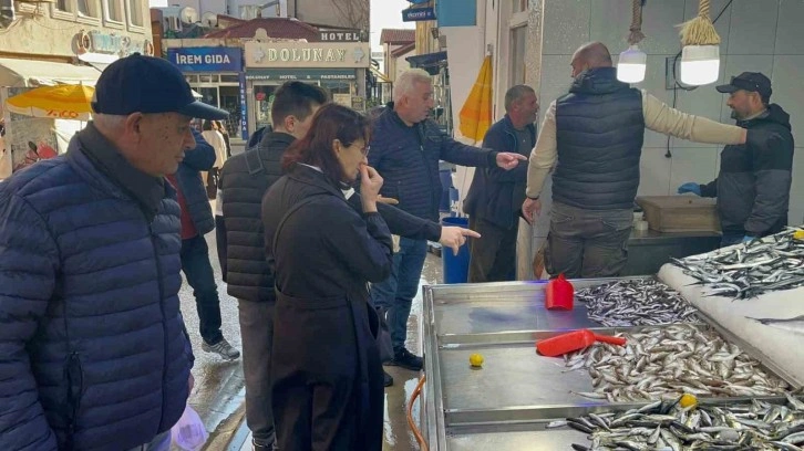 Sinop hamsisinde sona doğru