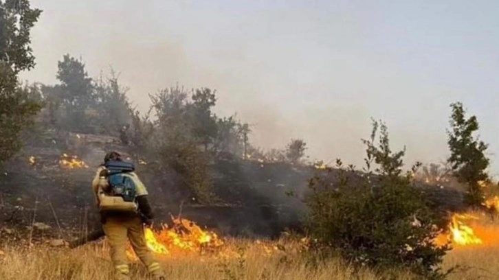 Şırnak’ta çıkan orman yangını söndürüldü