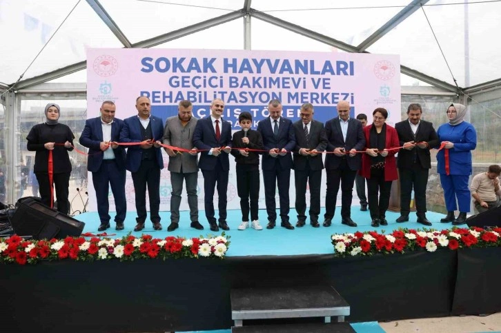 Sokak hayvanlarına geçici bakımevi hizmete açıldı