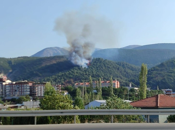 Soma’daki orman yangınına müdahale devam ediyor