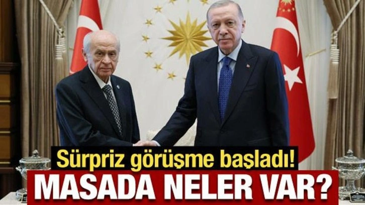 Son Dakika: Erdoğan'dan kritik kabul! Devlet Bahçeli ile görüşüyor