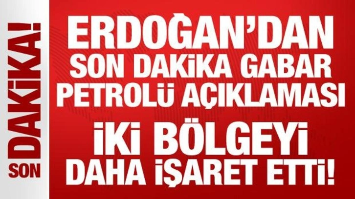 Son Dakika: Erdoğan'dan son dakika Gabar petrolü açıklaması: İki bölgeyi daha işaret etti!