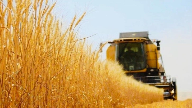 Sungurlu Ticaret Borsası'na yılın ilk ürünü satıldı