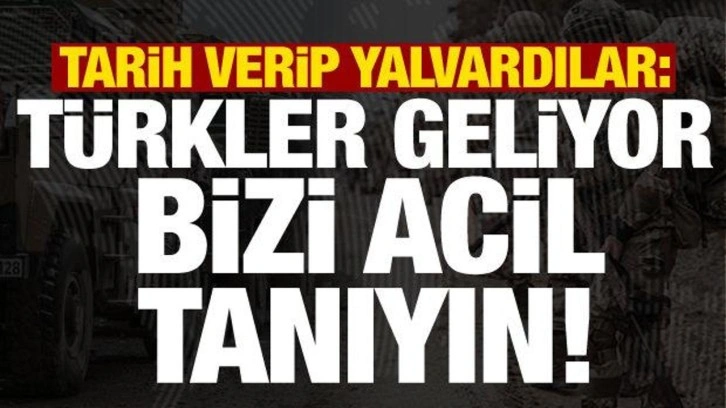 Tarih verip yalvardılar: Türkler geliyor, acil bizi tanıyın...