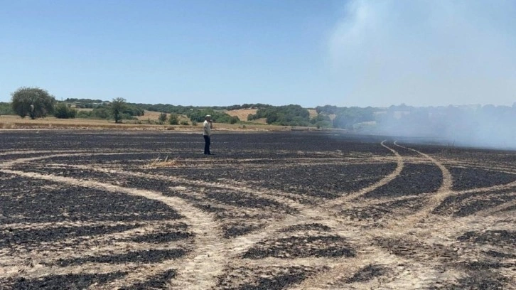 Tekirdağ'da anız yangını! 50 dönüm ekili buğday küle döndü