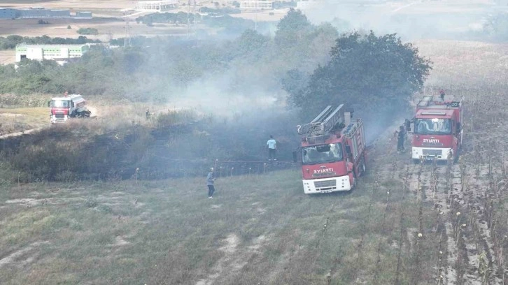 Tekirdağ’da korkutan orman yangını: Yüksek gerilim hattı zarar gördü