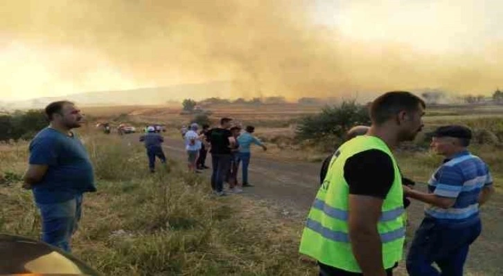 Tekirdağ’daki orman yangını balya makinasındaki kıvılcımla çıkmış