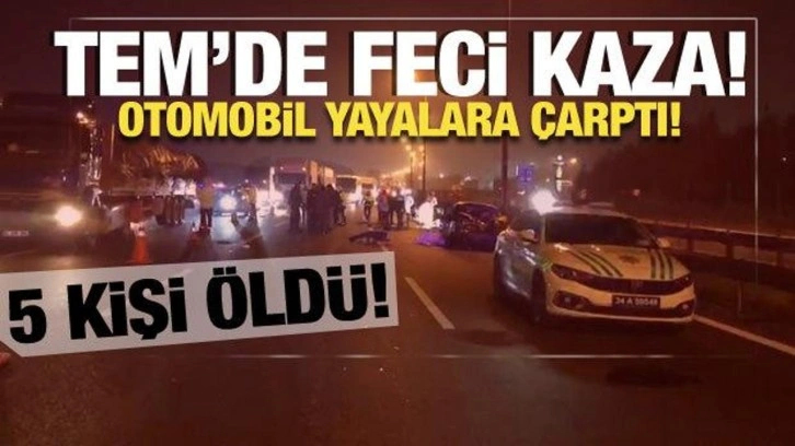 TEM Otoyolu'nda yayalara otomobil çarptı: 5 ölü