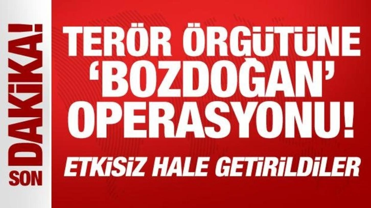 Terör örgütüne 'bozdoğan' operasyonu! Etkisiz hale getirildiler