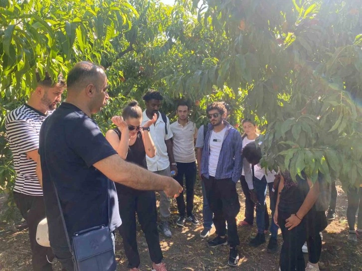 TOGÜ’den Şeftali Üreticilerine Bilgilendirme