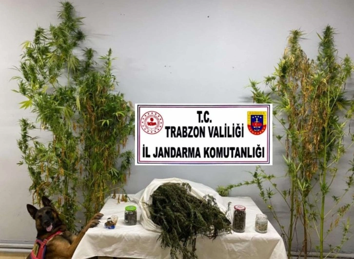 Trabzon’da uyuşturucu operasyon: 3 gözaltı