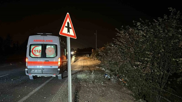 Trafik tabelasına çarpan motosiklet fındık bahçesine uçtu: 1 yaralı