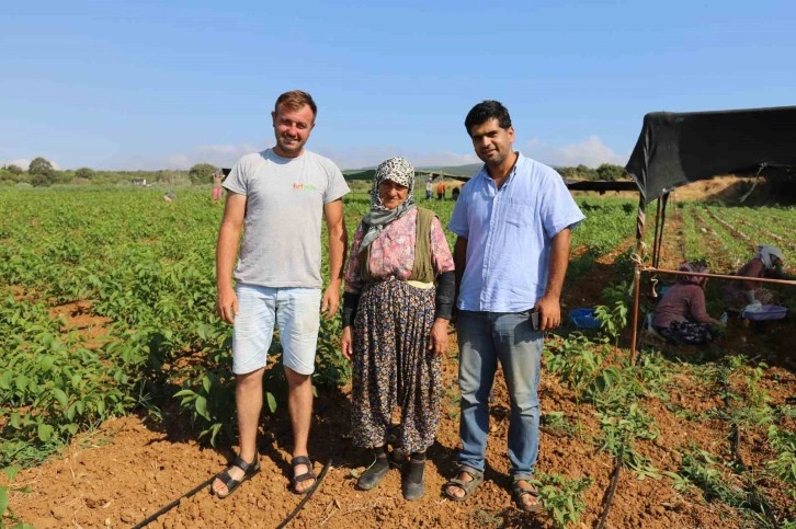 Türkiye’nin ceviz fidanı ihtiyacı bu bölgeden karşılanıyor