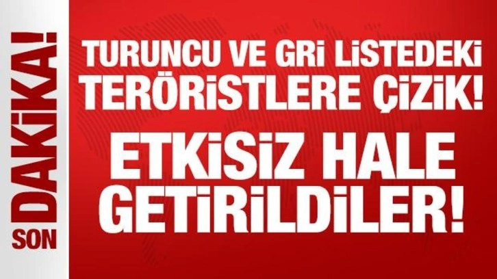 Turuncu ve gri listeye çizik: Şırnak'ta 4 terörist etkisiz hale getirildi: