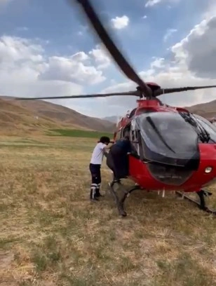 Van’da arı sokmasıyla rahatsızlanan kadın ambulans helikopterle hastaneye kaldırıldı