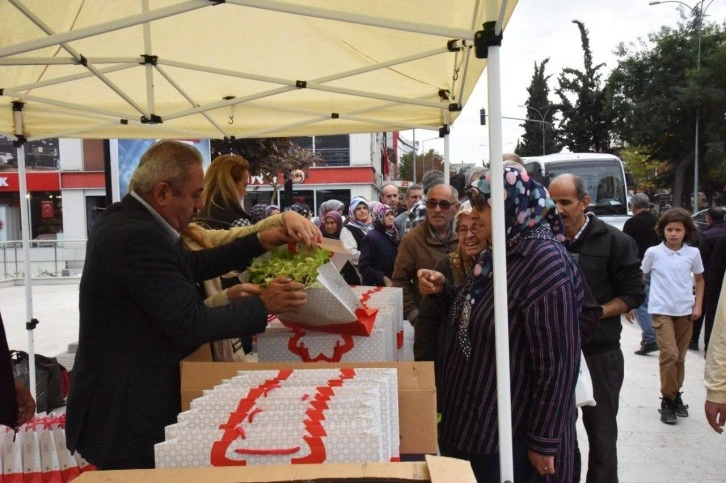 Vatandaşlara 30 bin adet marul fidesi dağıtıldı