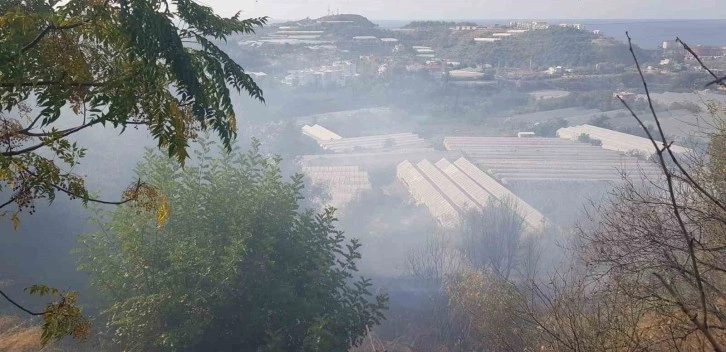 Yakılan sera atıkları yangına sebep oldu