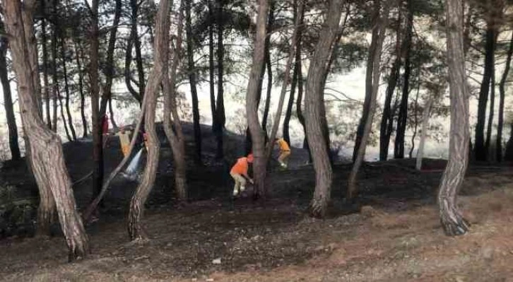 Yangın söndürüldü, vatandaş piknikçilere tepki gösterdi