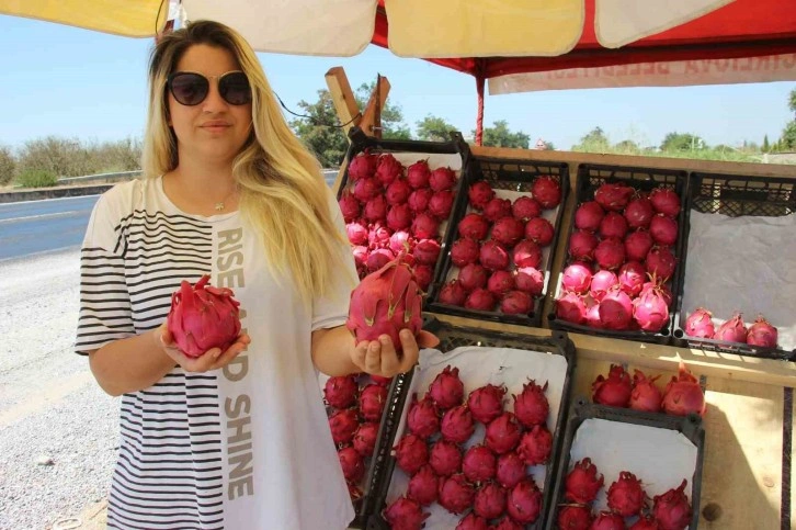 Yediği meyve hayatını değiştirdi, kendi işinin patronu oldu